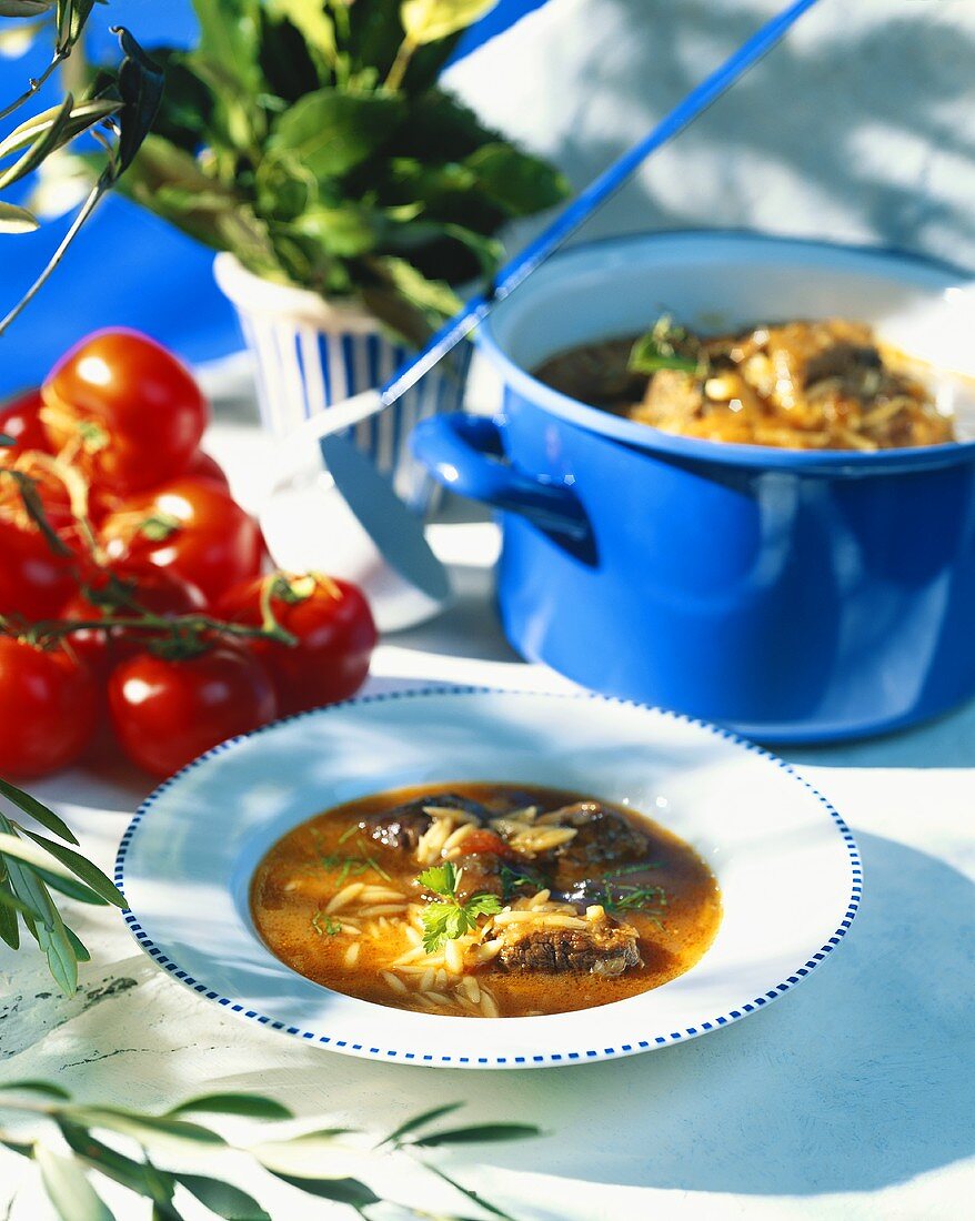 Beef stew with rice