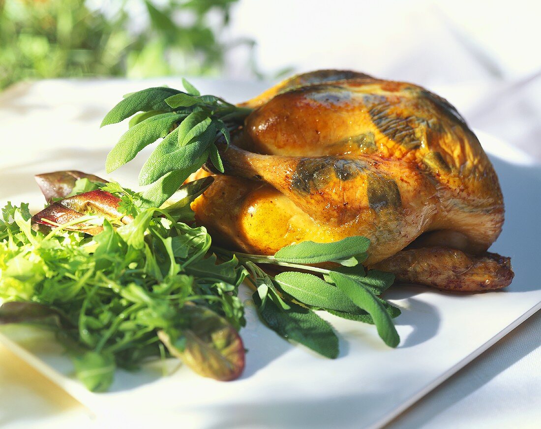 Guinea fowl with sage