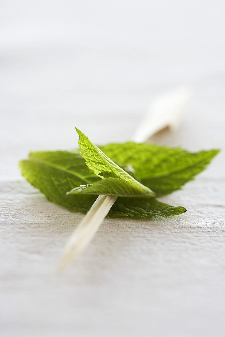 Fresh mint on wooden sticks