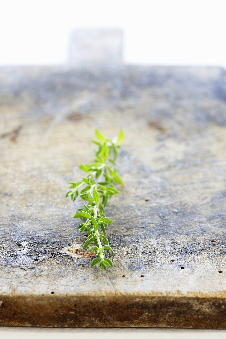 A sprig of thyme on a wooden board