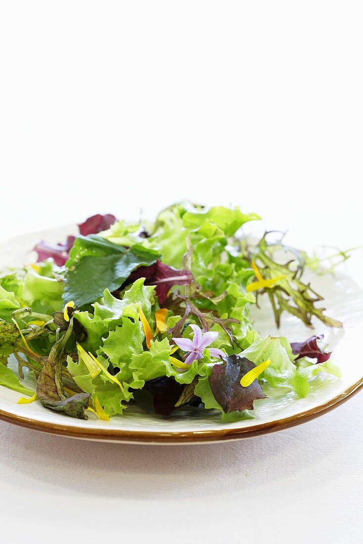 Mixed salad leaves with edible flowers
