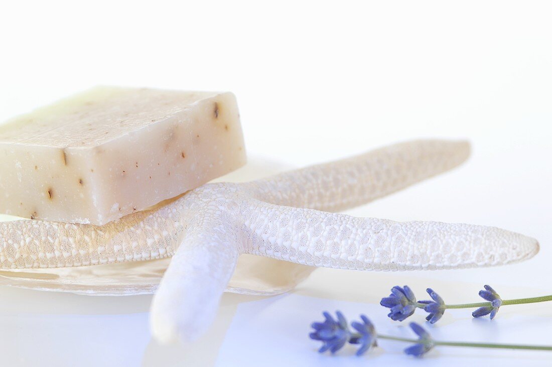 Soap, a starfish, a scallop shell and lavender