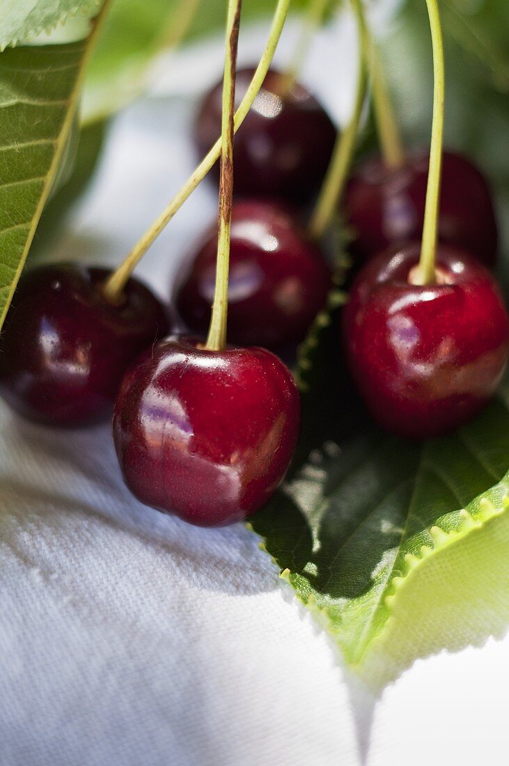 Ripe cherries (close up)