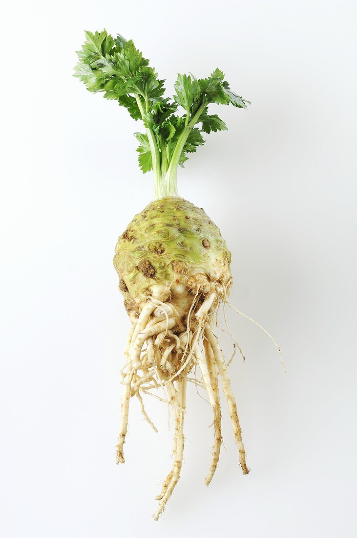 Celeriac