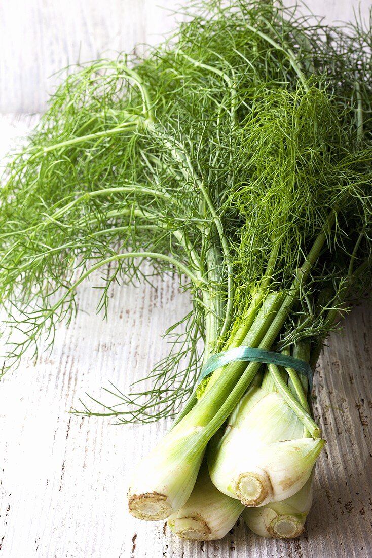 A bunch of fennel with leaves