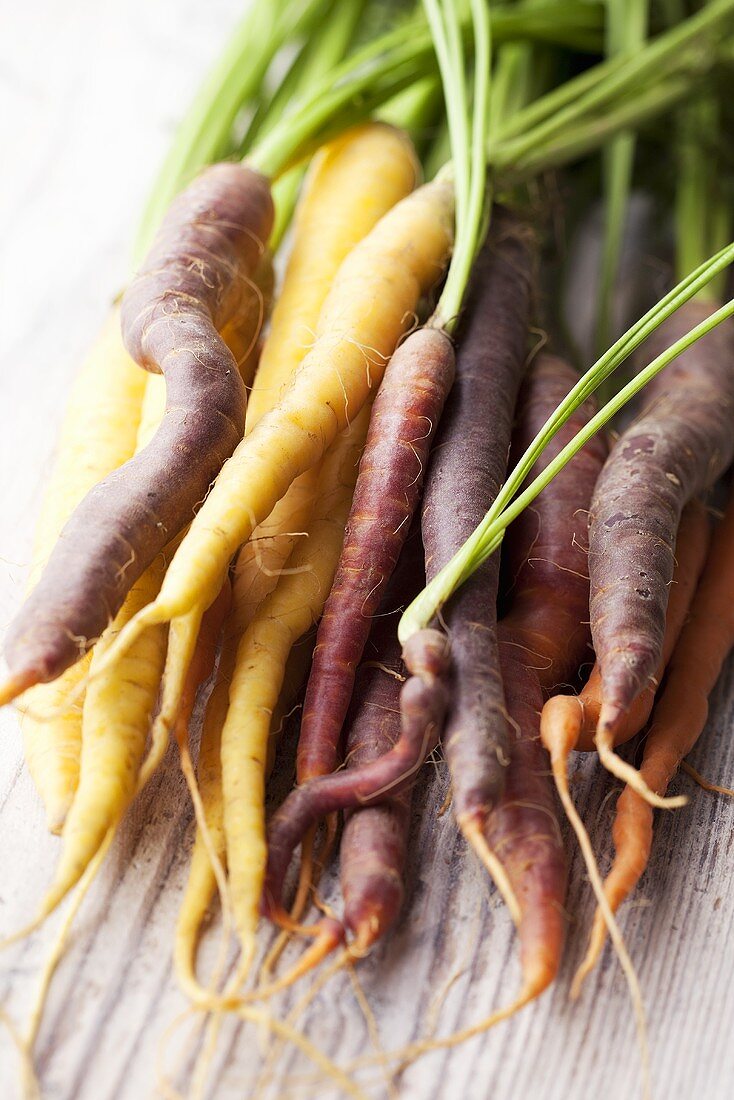 Various types of carrots