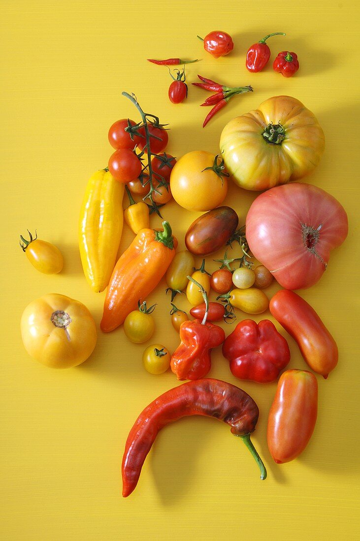Tomatoes, peppers and chili peppers