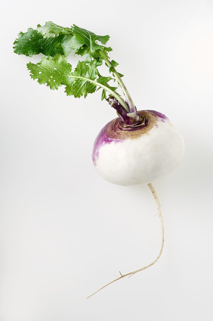 A white turnip with leaves