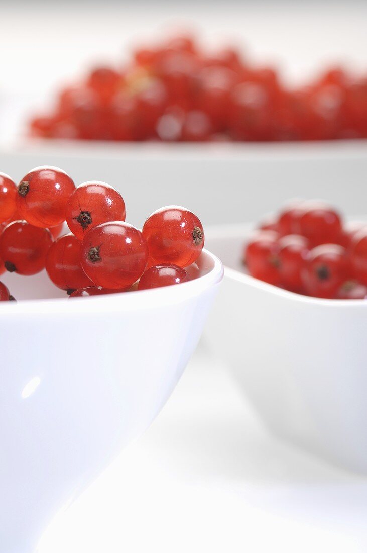 Bowls of redcurrents (close up)
