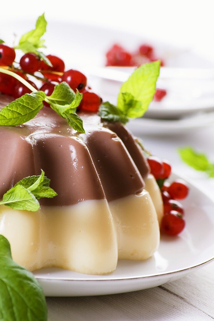 Schokoladen-Vanille-Pudding mit roten Johannisbeeren