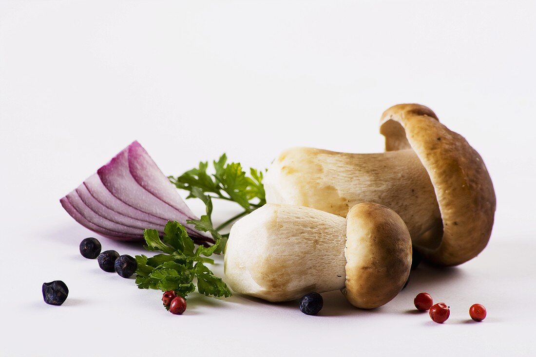 Porcini mushrooms, parsley, pepper and onion