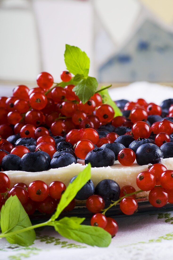 Cheesecake with blueberries and redcurrents