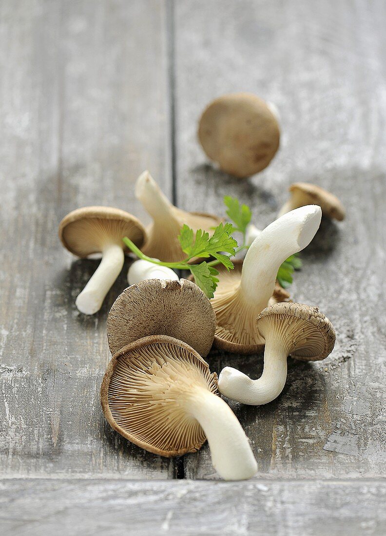 Fresh king trumpet mushrooms with parsley