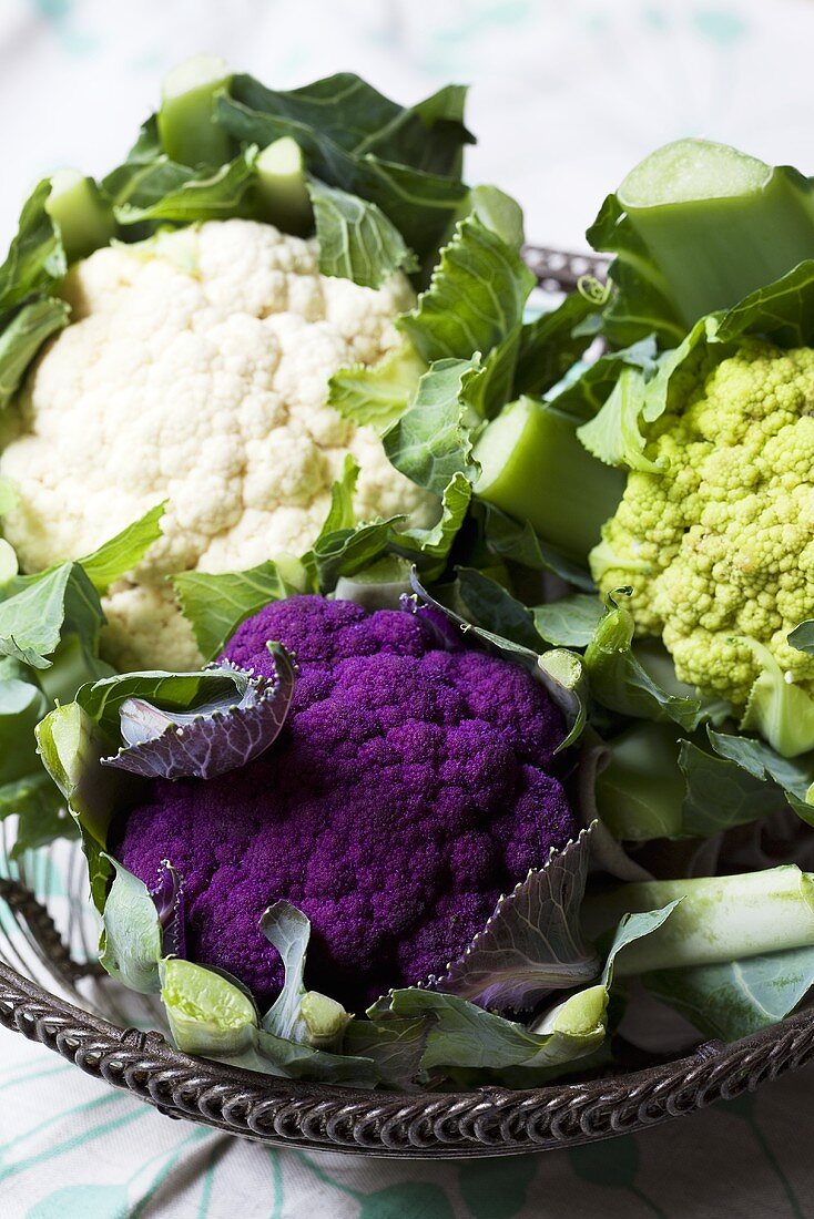 White, purple and green cauliflower