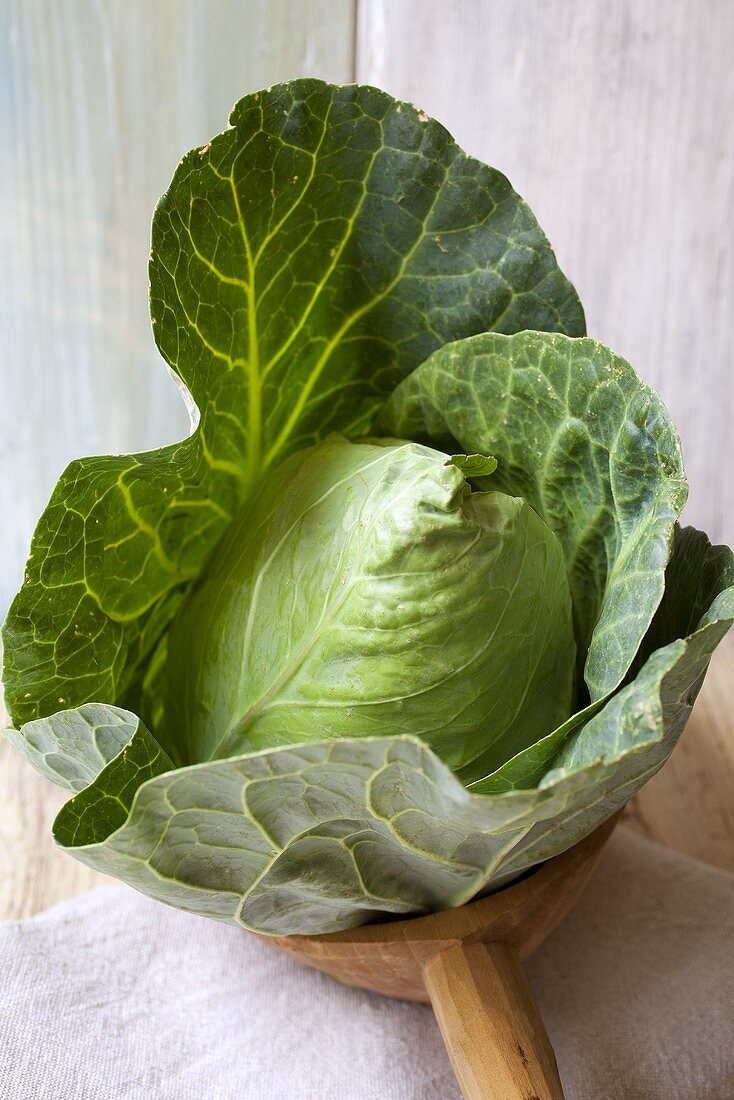 Pointed cabbage