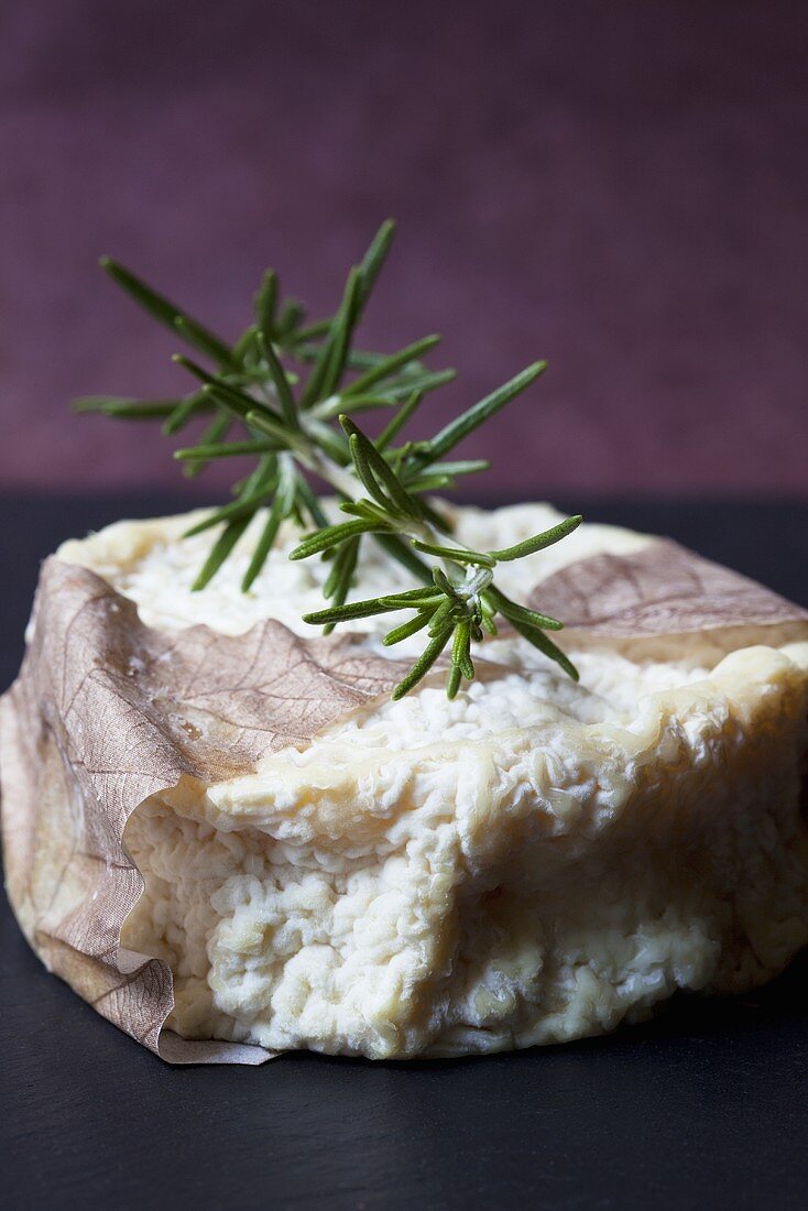 Goat's cheese with rosemary