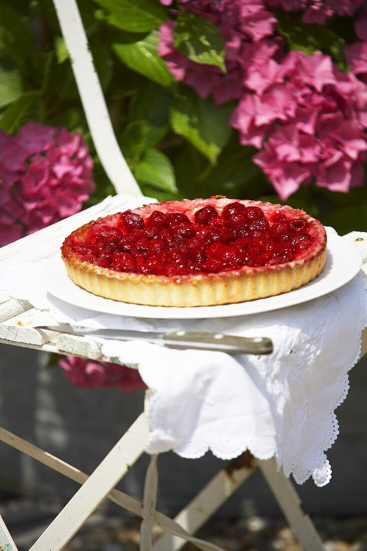 A raspberry tart on a garden chair