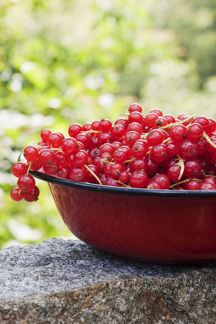 Rote Johannisbeeren in Schüssel auf Steinmauer