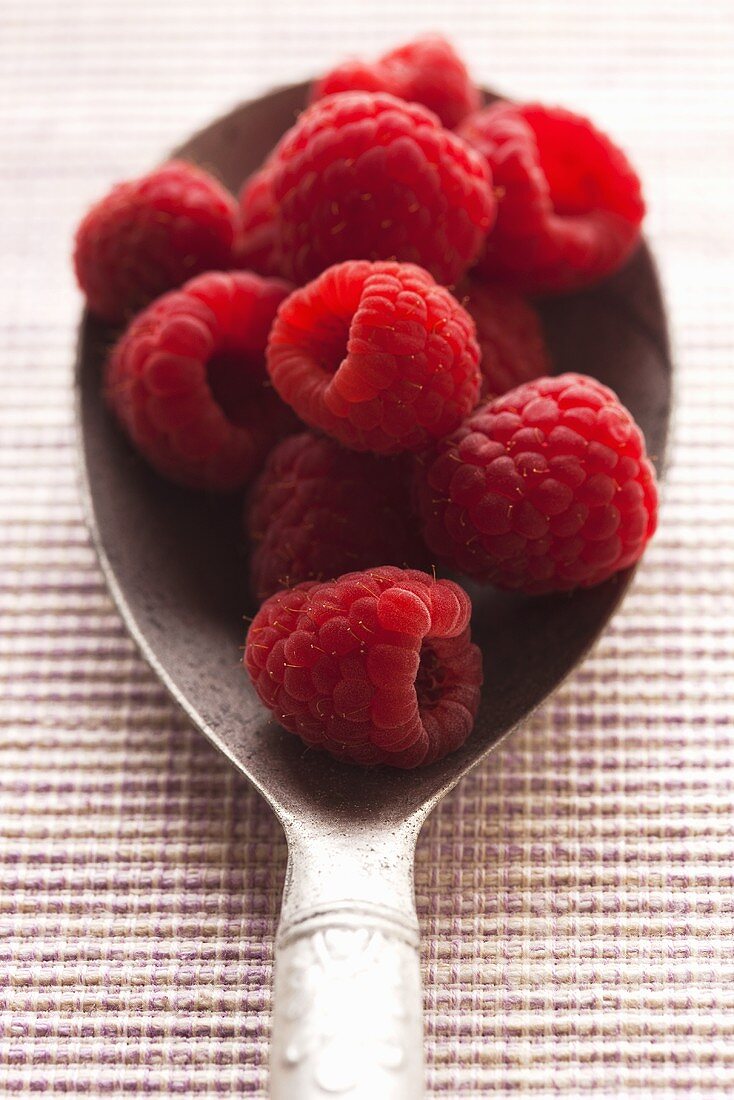 Mehrere Himbeeren auf Löffel