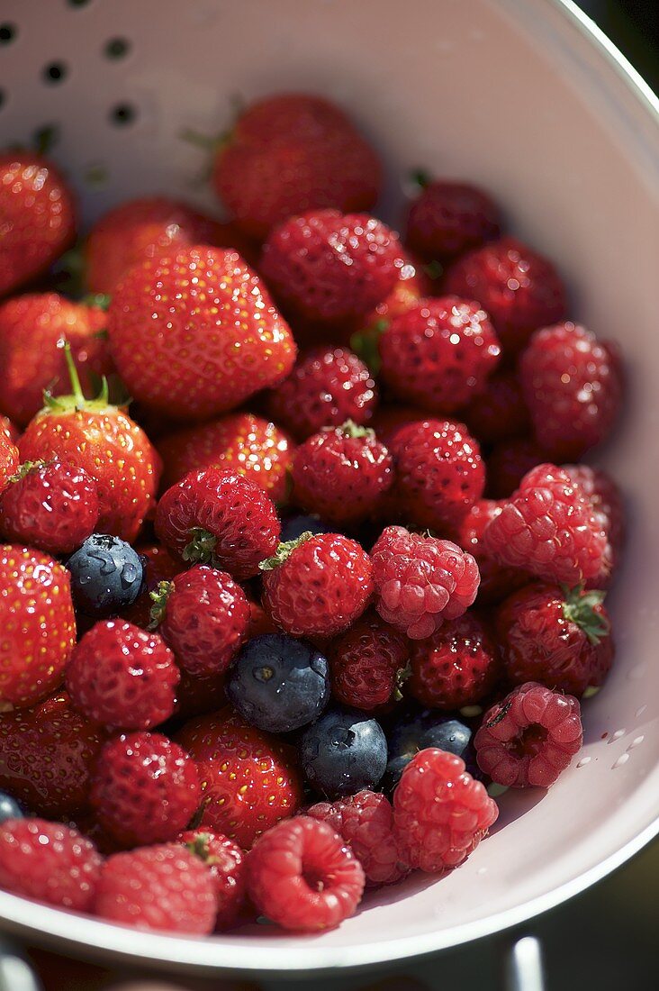 Verschiedene frische Beeren im Küchensieb