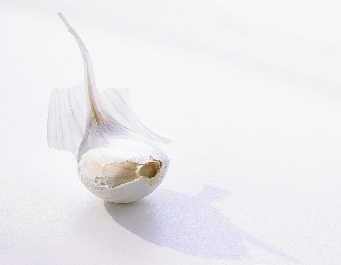 Garlic Clove with Peel