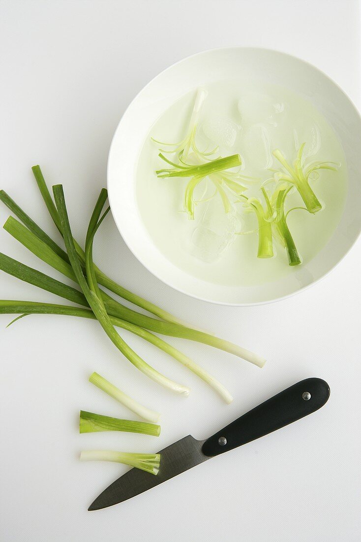 Spring onions in iced water
