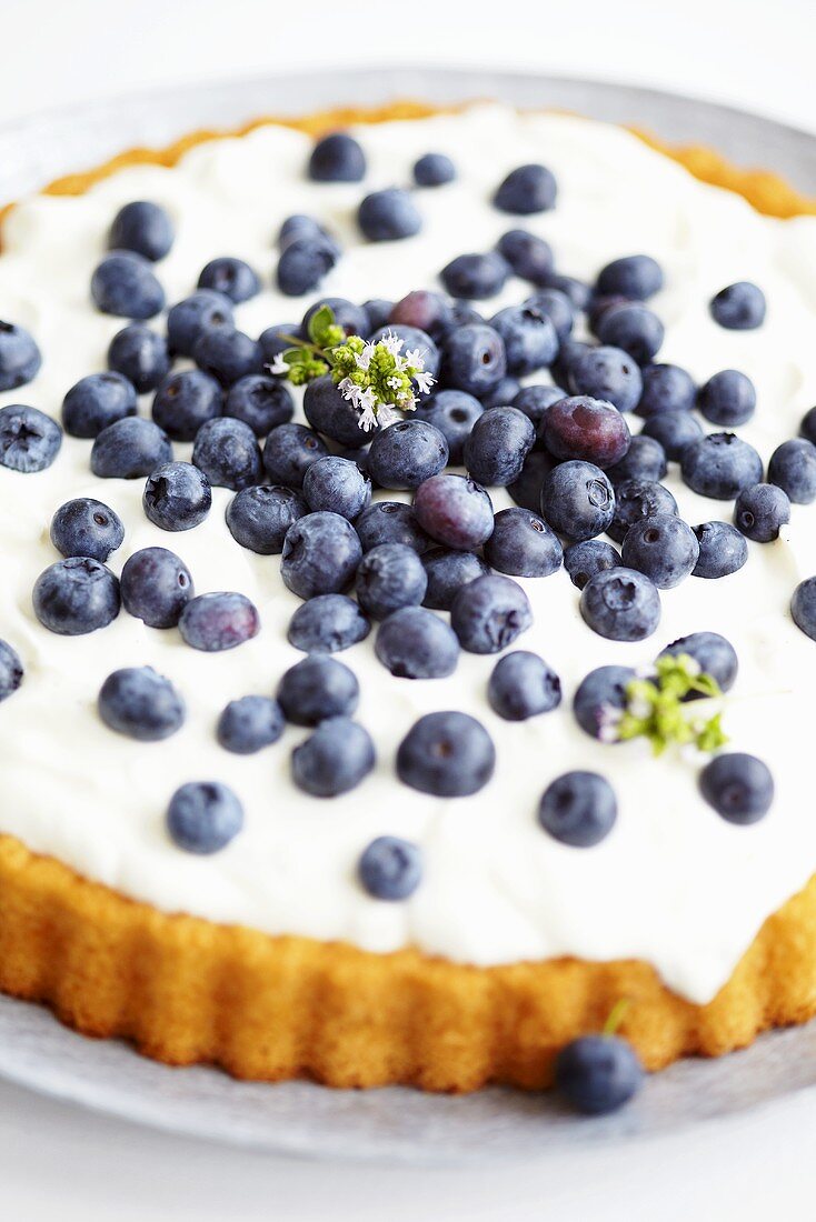 Blueberry tart (cropped)