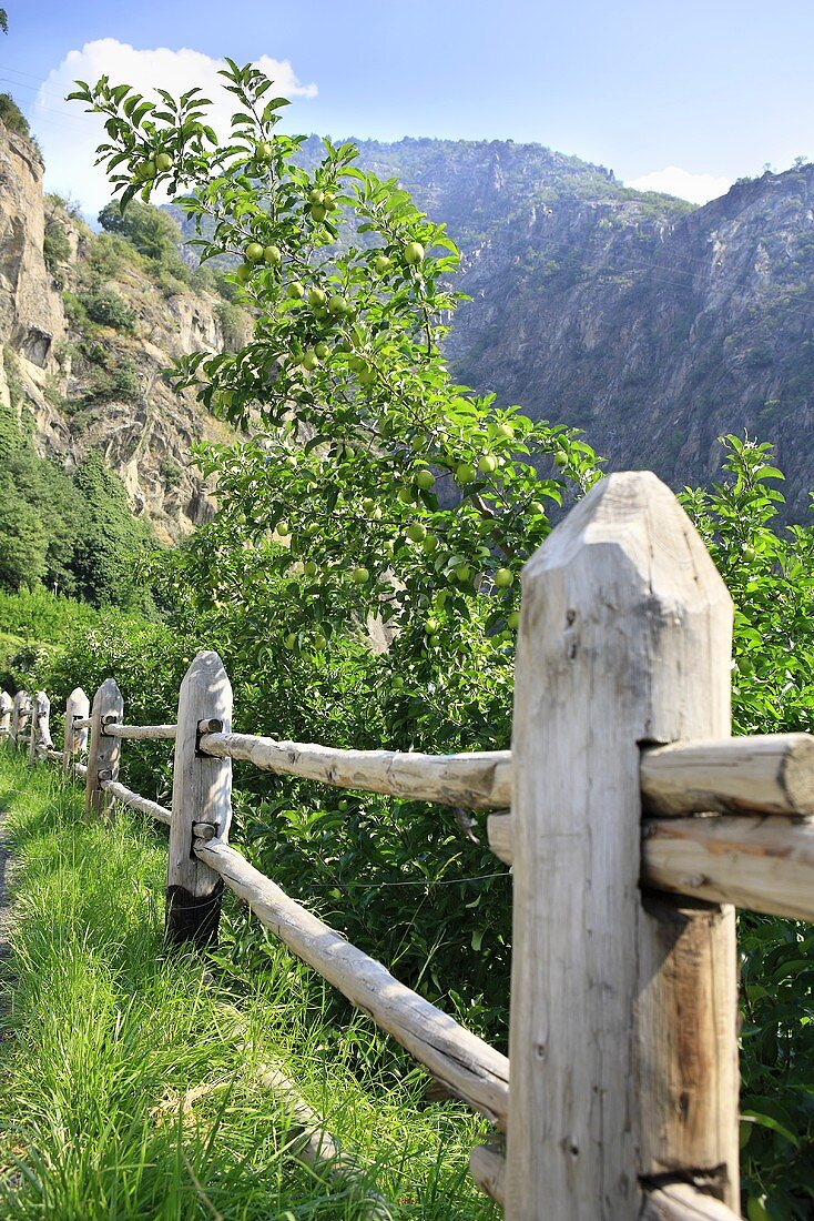 A wooden fence in the mountains