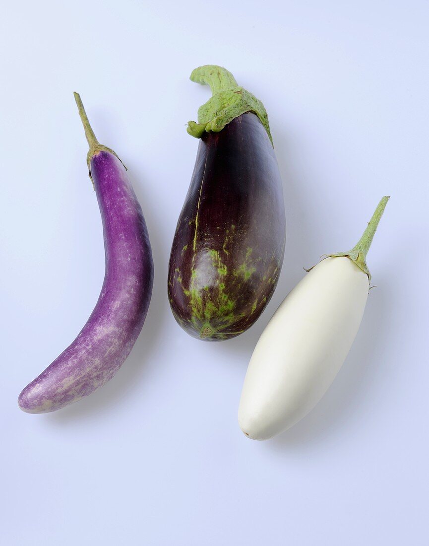 Three aubergines (cultivars: Fengyan, Diamond, Tango)