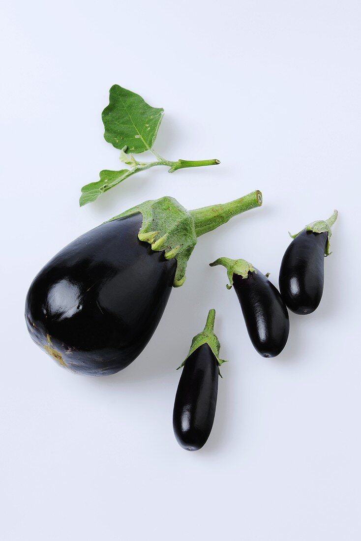 Aubergines (cultivars: Ritmo and Orlando)