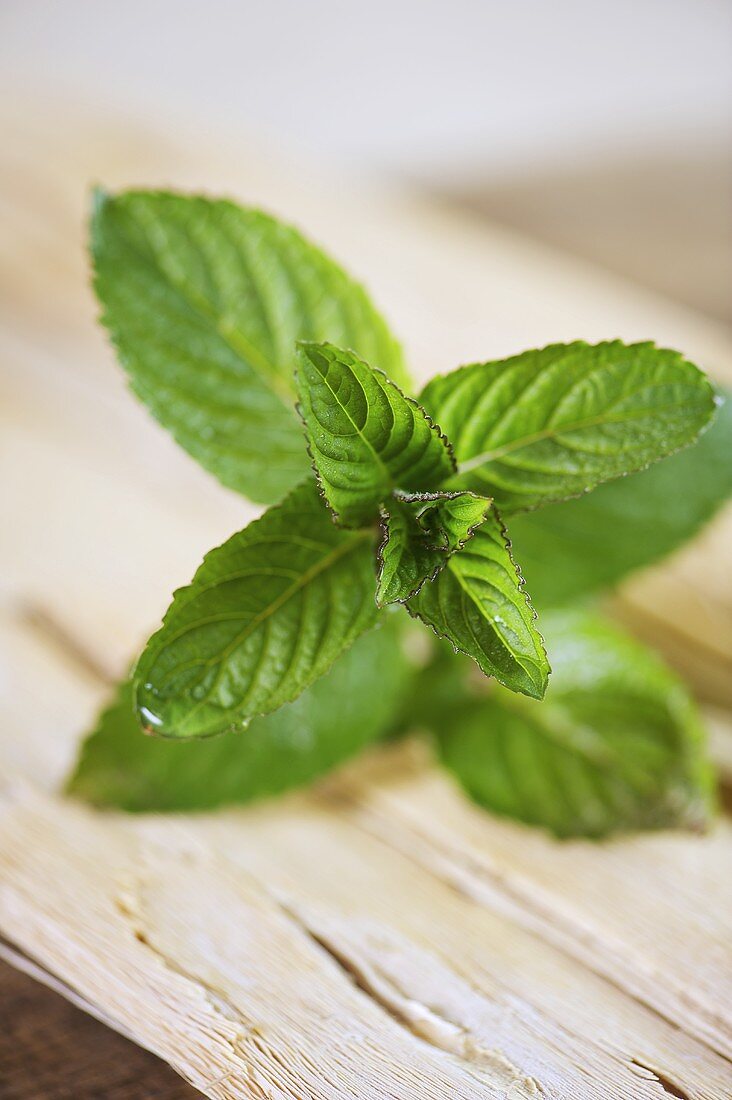 A sprig of mint on a wooden surface