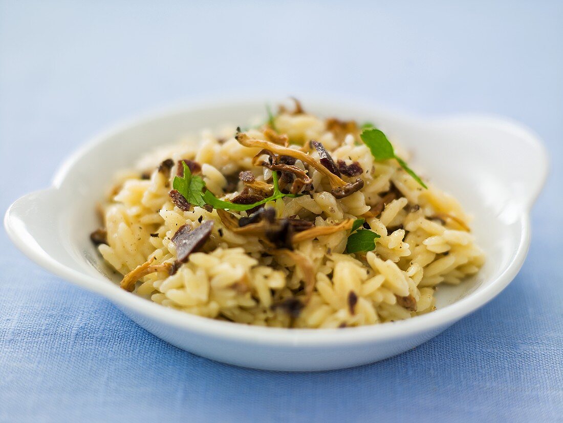 Pilz-Risotto