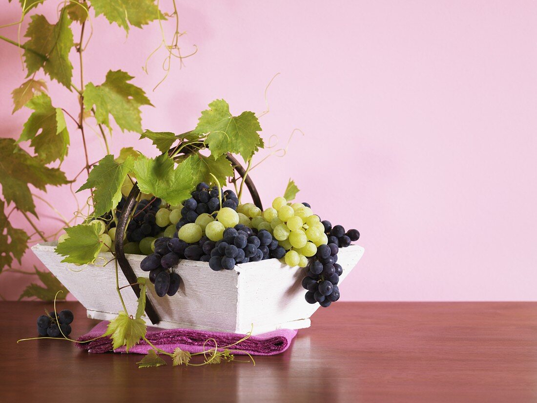 Mixed grapes with vine leaves in a small basket