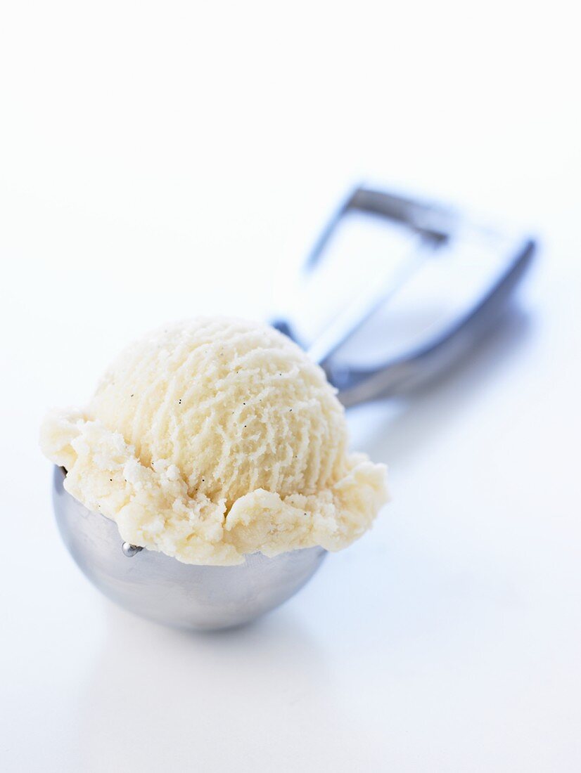 A scoop of vanilla ice cream in an ice cream scoop