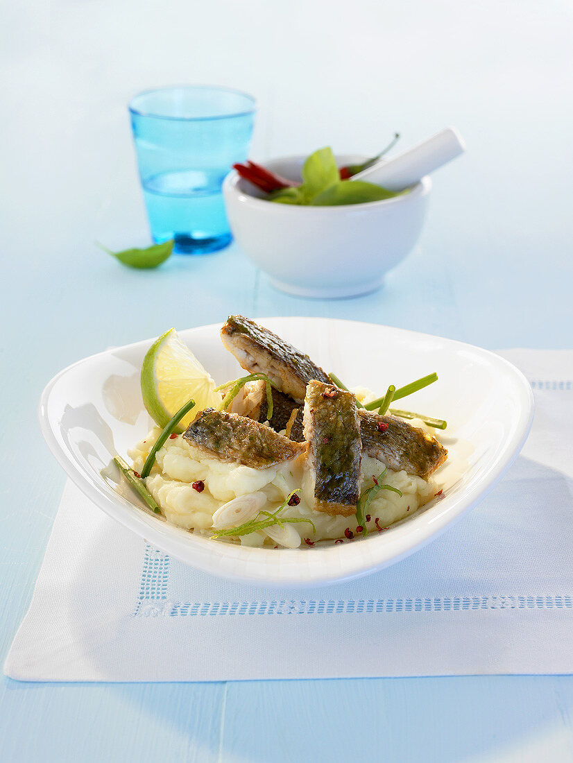Sea bream with basil sauce on mashed potato with lime
