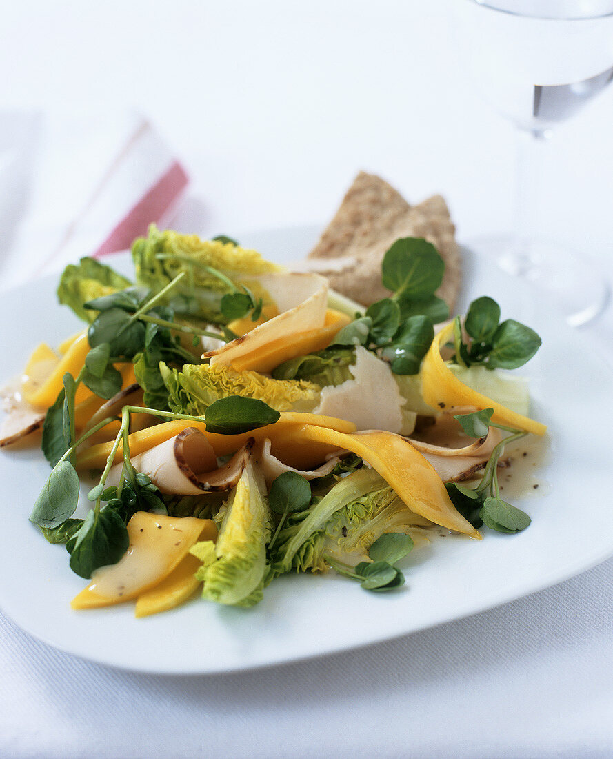 Watercress salad with cooked turkey breast and mango