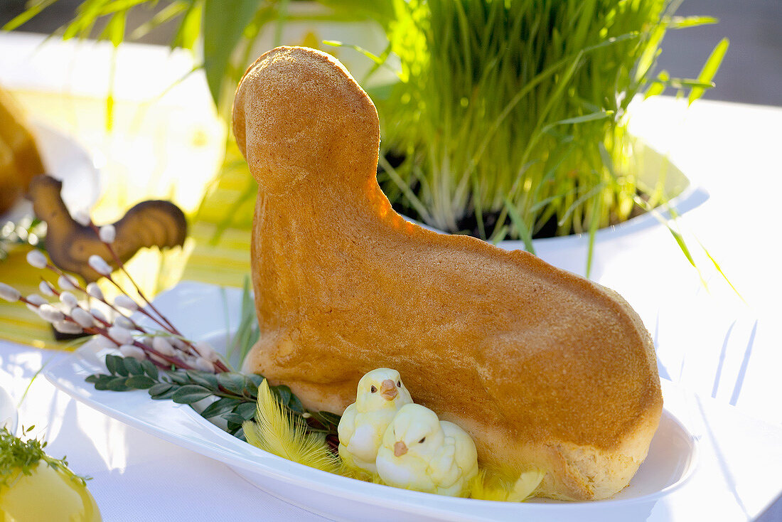 An Easter lamb (baked)