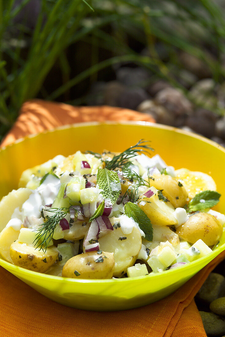 Kartoffelsalat mit Zwiebeln und Kräutern im Freien