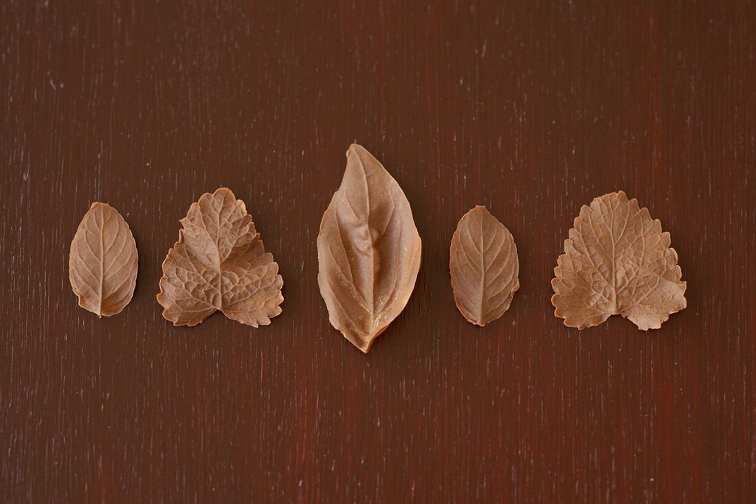 Fünf mit Schokolade überzogene Blätter