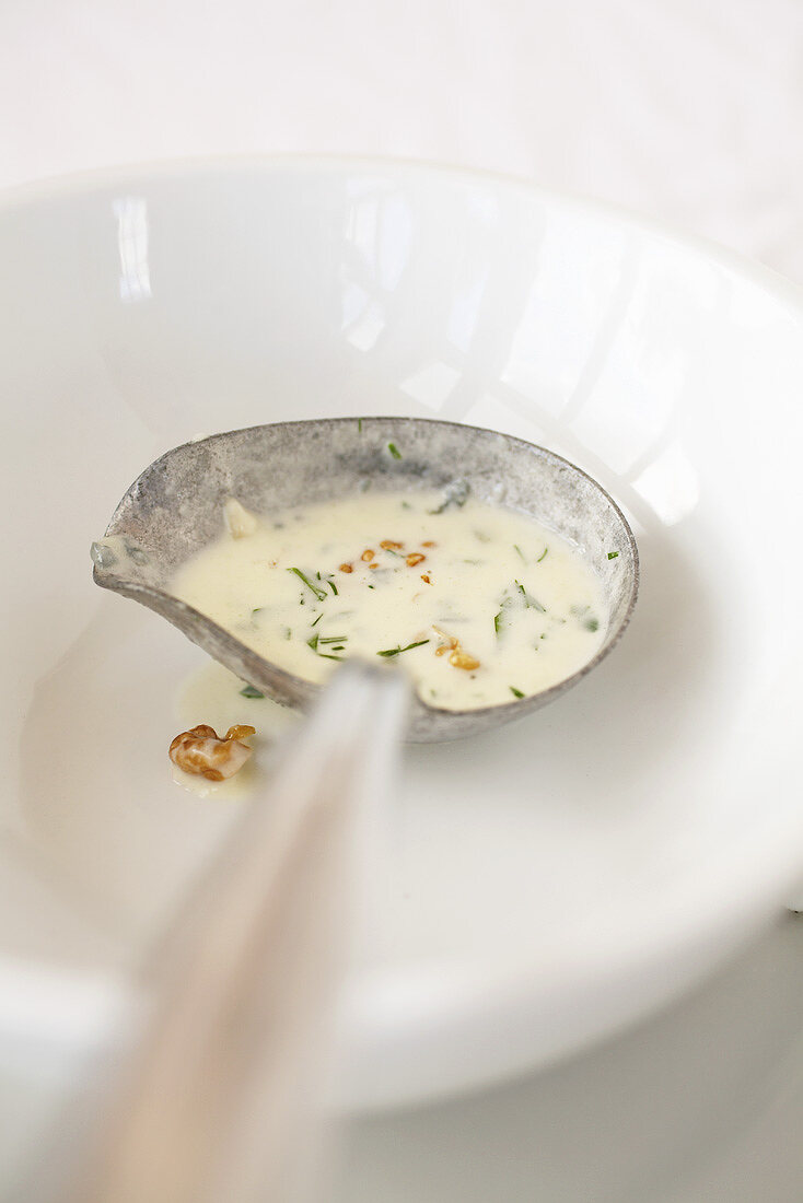 Gorgonzola sauce with walnuts in a sauce spoon