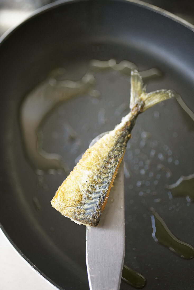 Fried mackerel fillet lifted out of frying pan on spatula