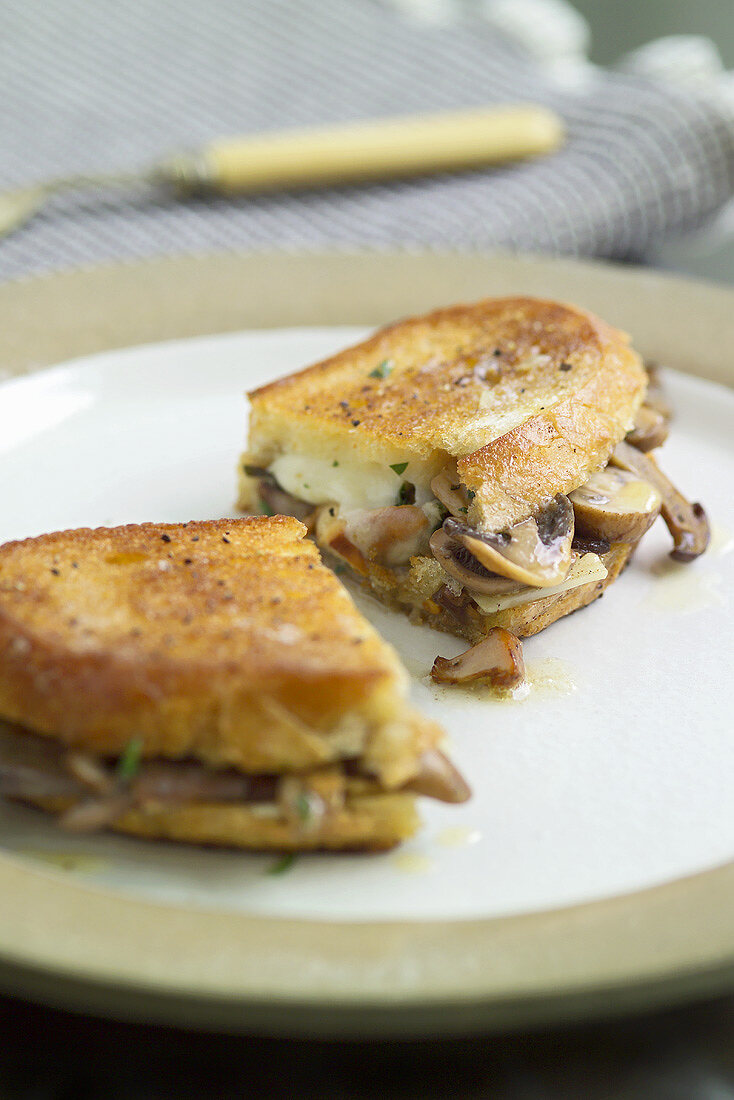 Fried mushroom and mozzarella sandwich with herbs