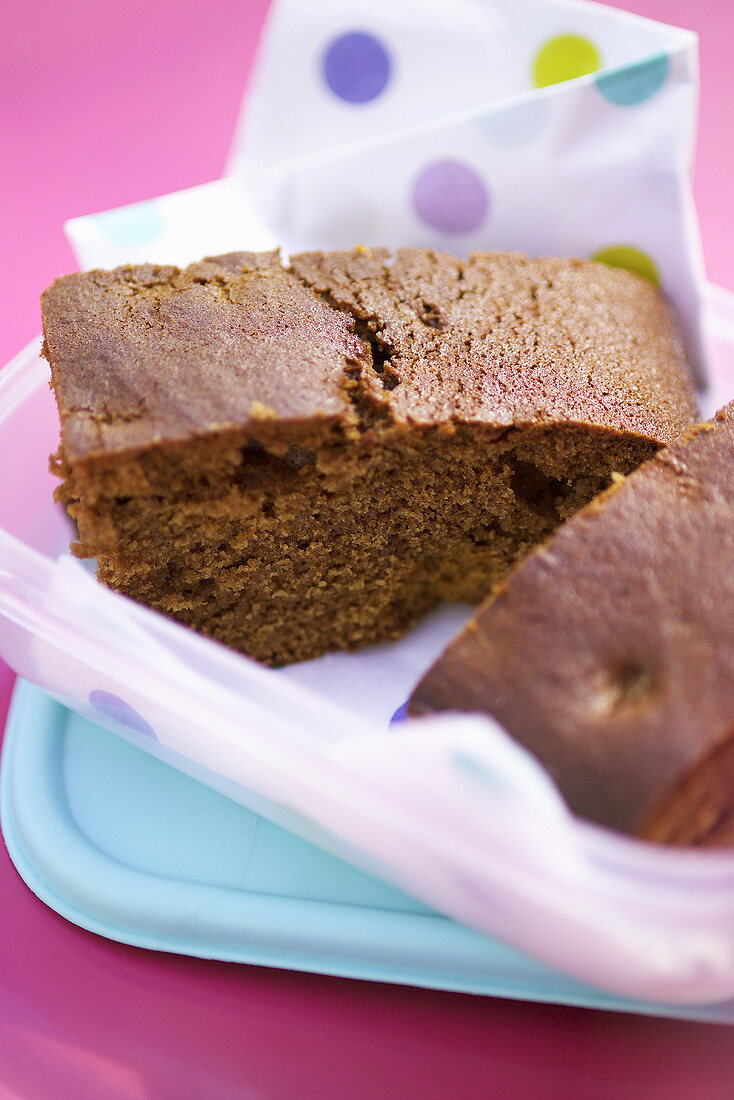 Slices of spice cake in a plastic box