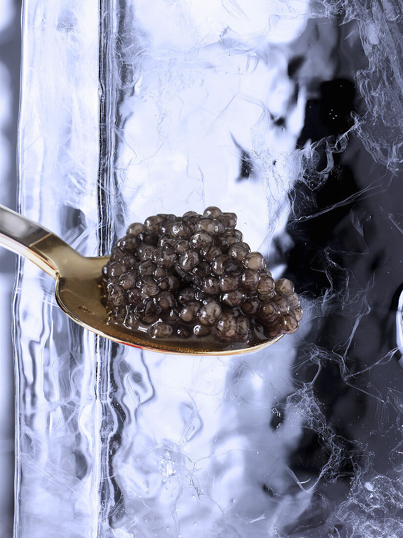 Caviar on a spoon