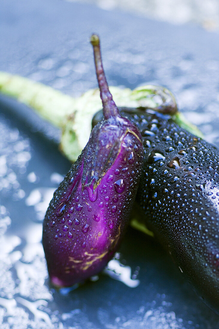 Two fresh aubergines with drops of water