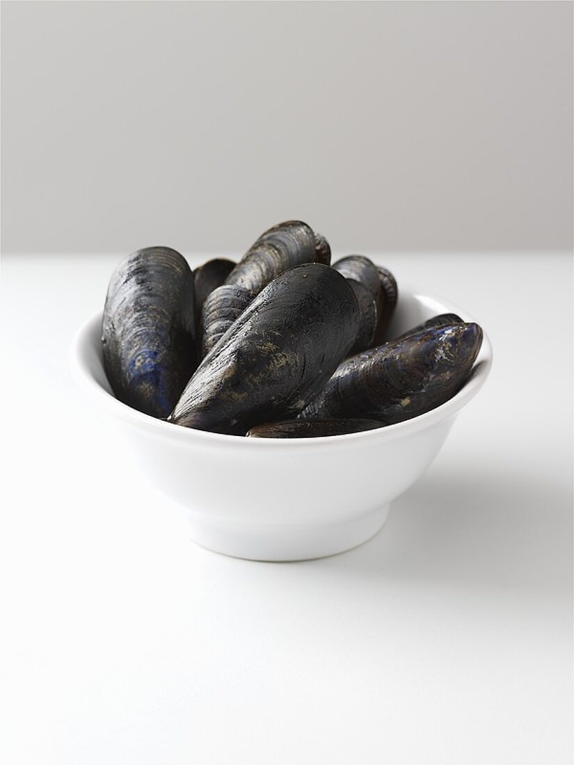 Mussels in a china dish