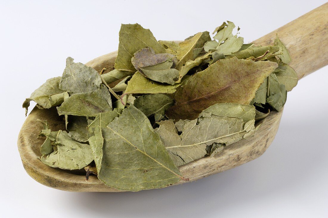 Dried curry leaves on a wooden spoon
