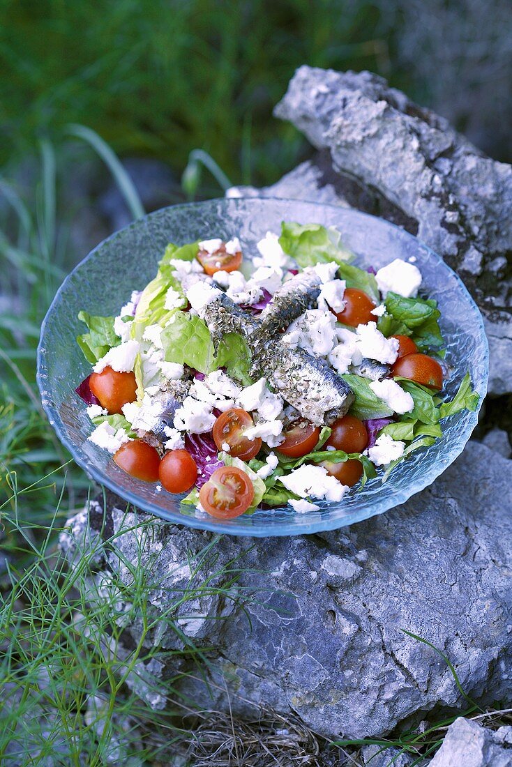 Sardinen auf Tomaten mit Feta im Freien auf einem Stein