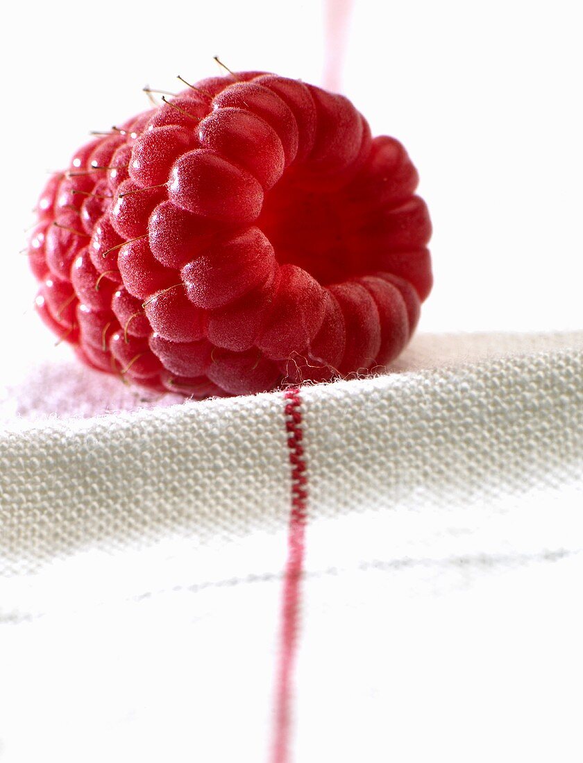 A raspberry on a tea towel