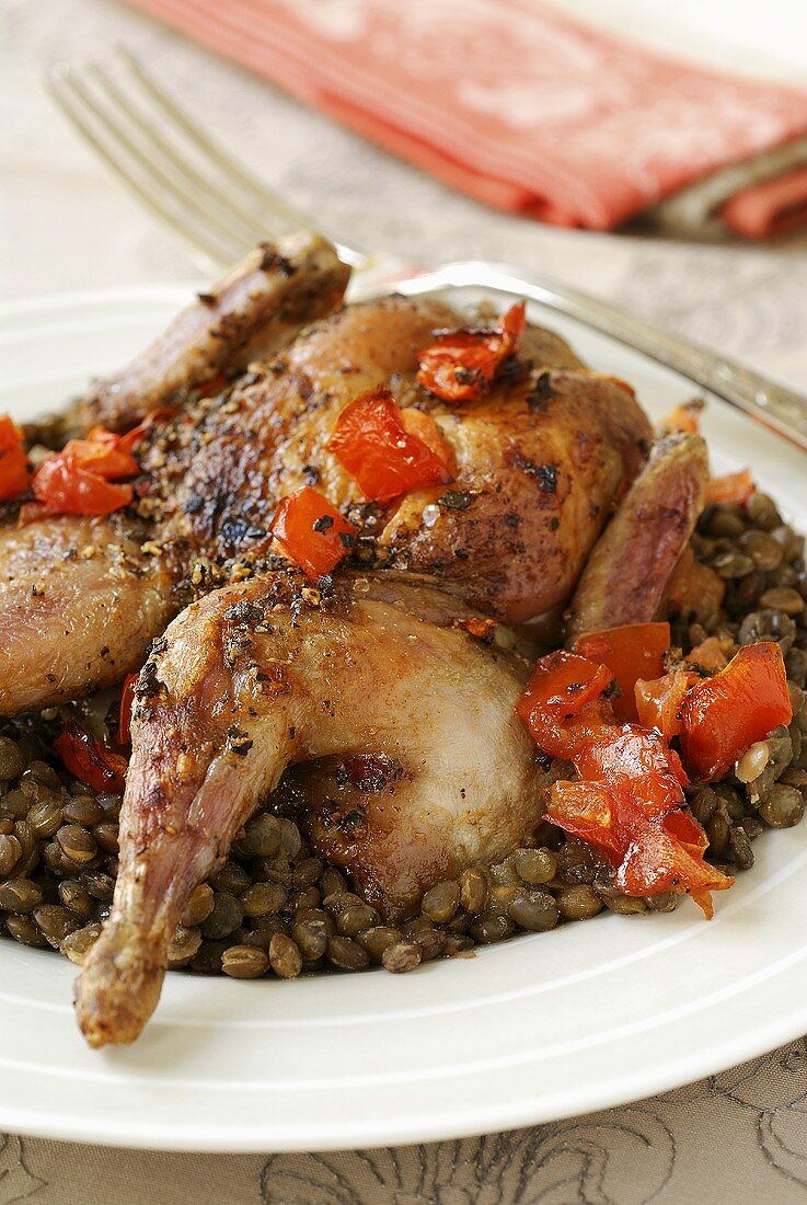Roast quail on lentils and tomatoes